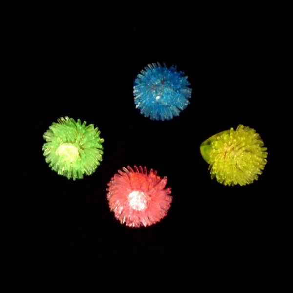 36 LED Igel-Ringe Display-Box
