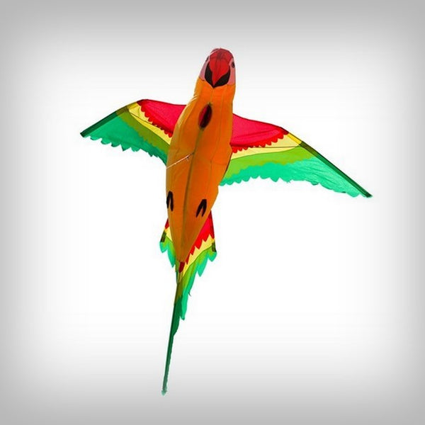 1 Drachen Parrot 3D