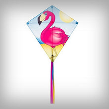 Laden Sie das Bild in den Galerie-Viewer, 1 Kinder-Drachen Eddy Flamingo
