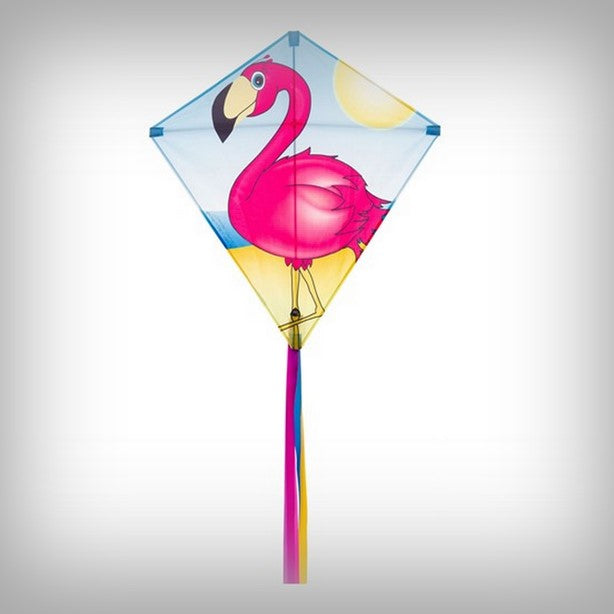 1 Kinder-Drachen Eddy Flamingo