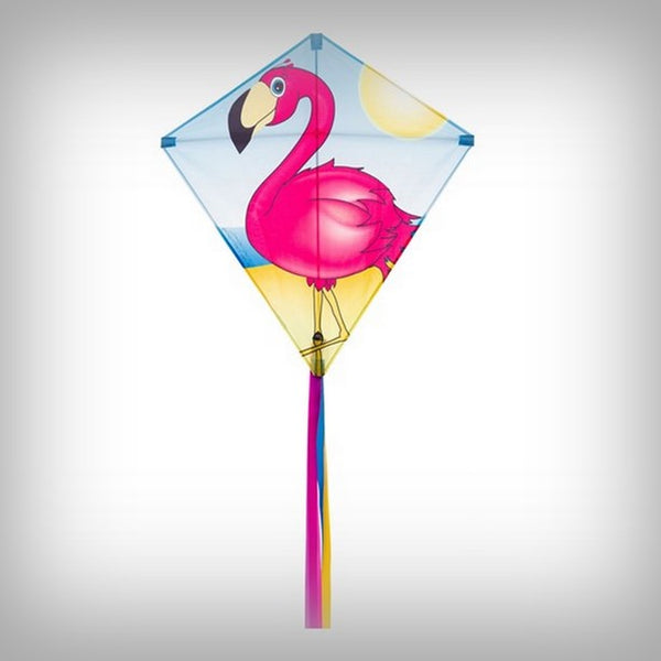 1 Kinder-Drachen Eddy Flamingo