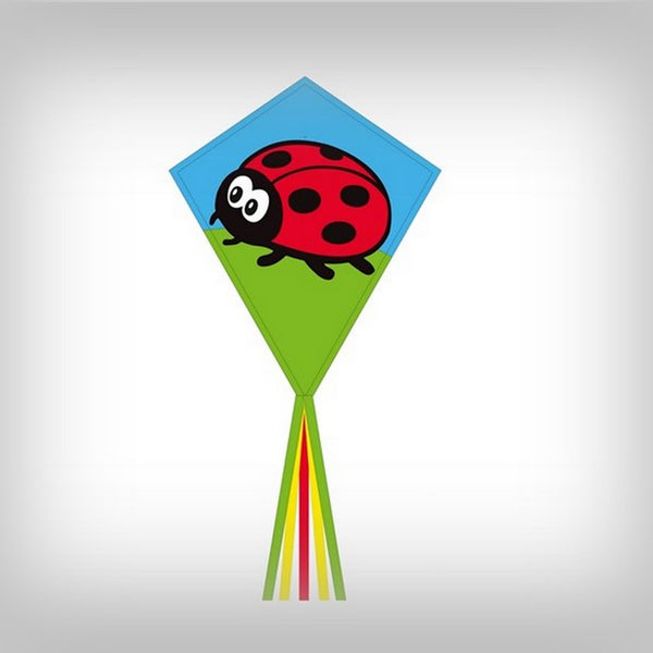 1 Drachen Eddy Ladybug 70 cm