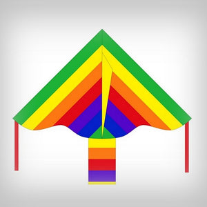 1 Drachen Simple Flyer Rainbow 85 cm