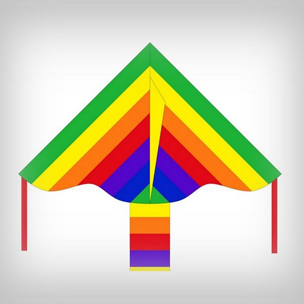 1 Drachen Simple Flyer Rainbow 85 cm